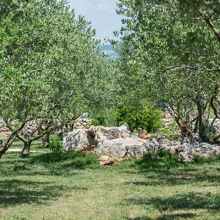 Leonarda Villa